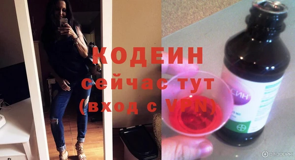 гашик Дмитриев
