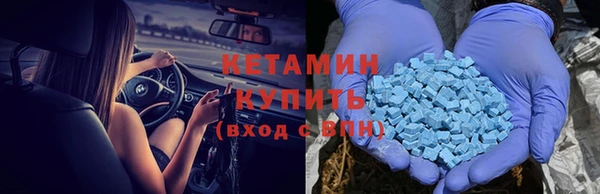 сатива Дмитровск
