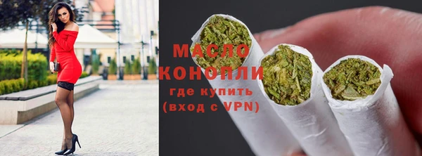 гашик Дмитриев