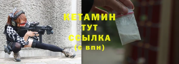гашик Дмитриев