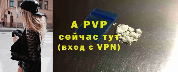 гашик Дмитриев