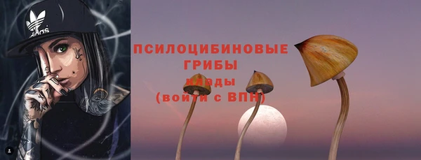 сатива Дмитровск