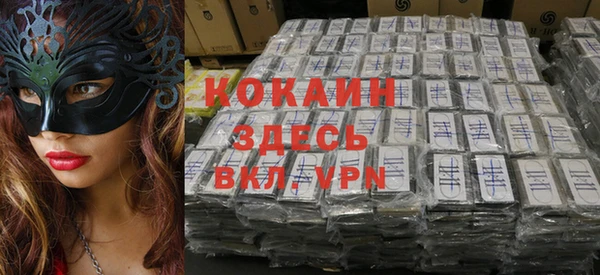 гашик Дмитриев