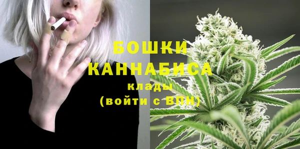 сатива Дмитровск