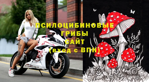 гашик Дмитриев