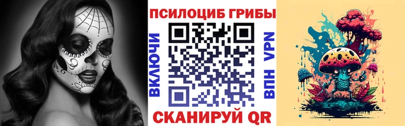 купить наркоту  Нязепетровск  MEGA ссылки  Псилоцибиновые грибы прущие грибы 